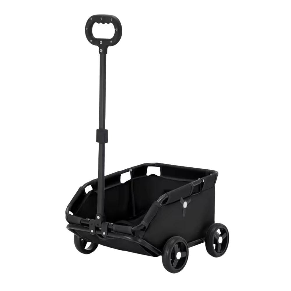 PawCruze – Mini-Buggy für Zuhause