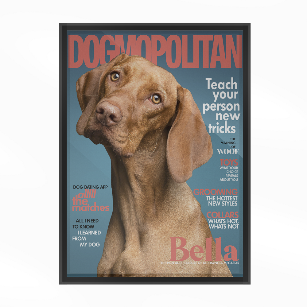 Poster zum Thema Haustiermagazin