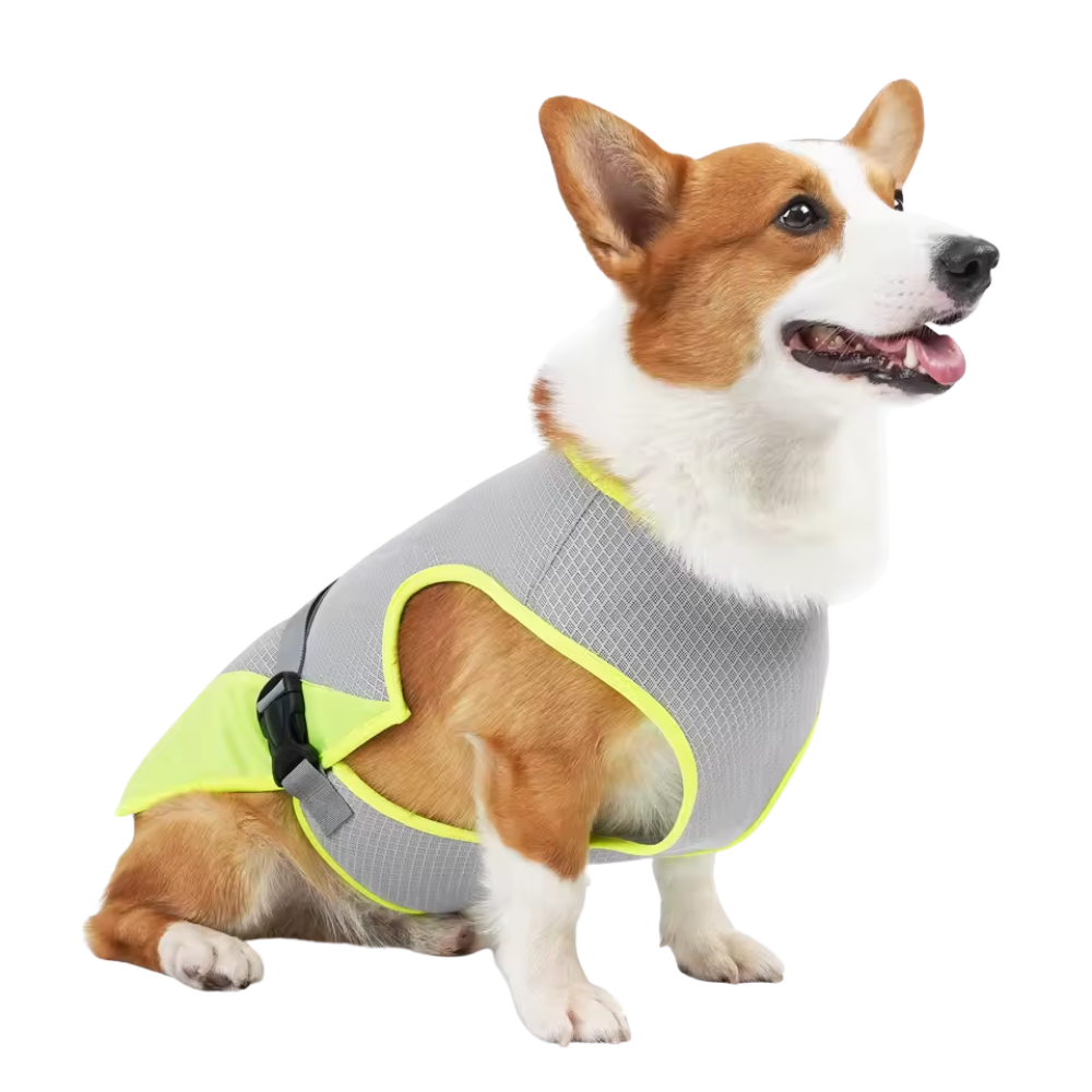 FrostVest - Honden koelvest