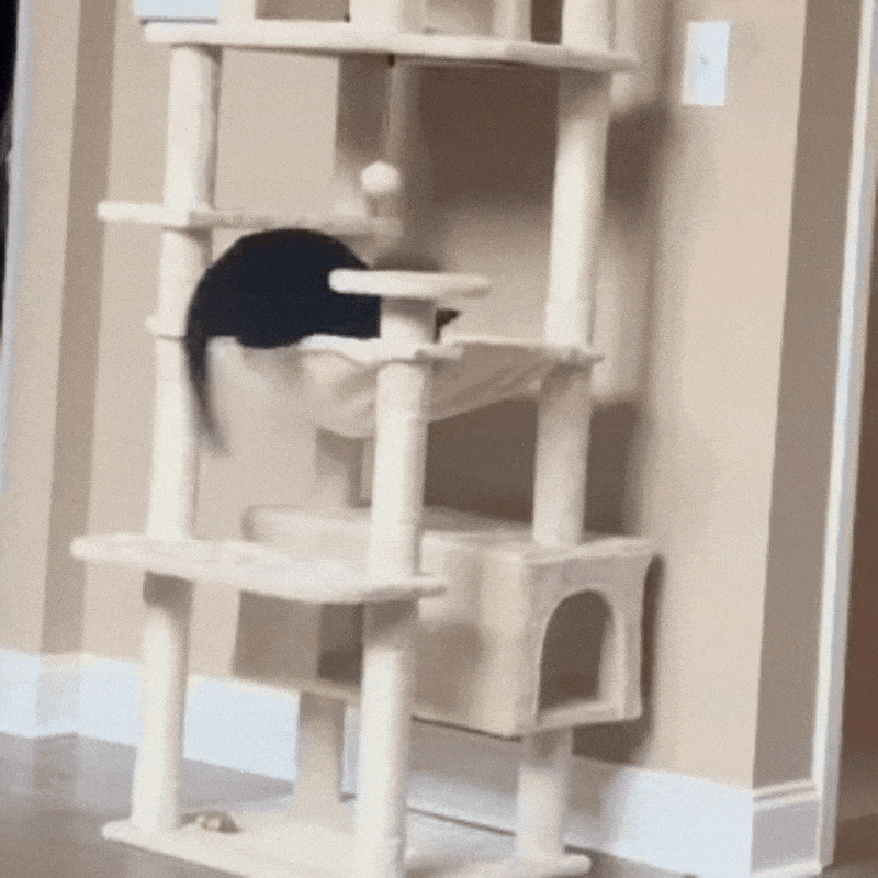 PurrLounge – Moderne Kattentoren