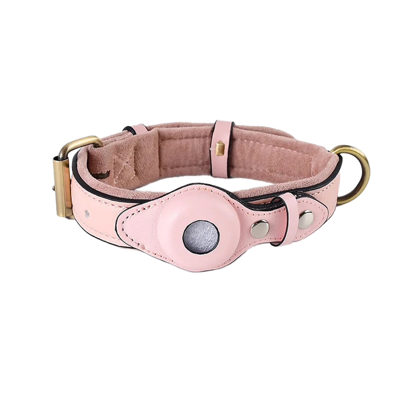 TrackPaws™ – AirTag Hundehalsband
