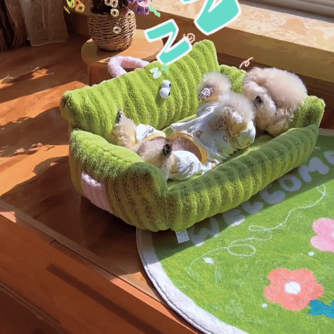 PetCloud – Luxus-Haushaltsbank