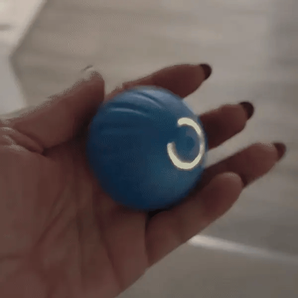 WaggleBall™ – Interaktiver Spielball
