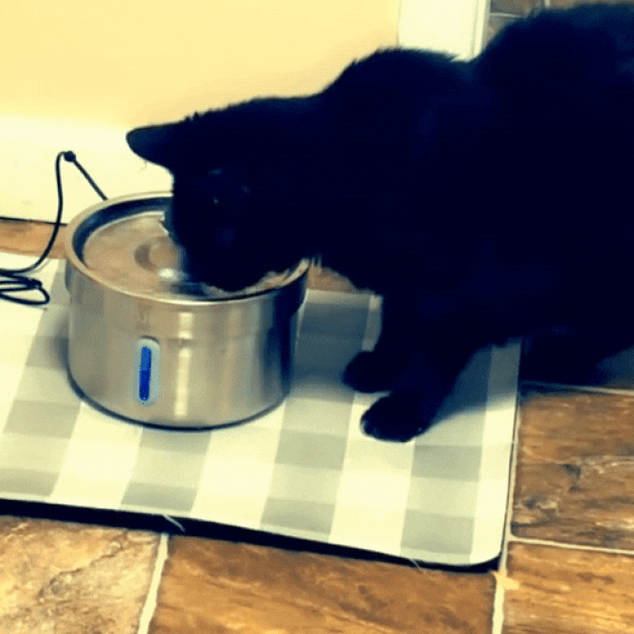 Roestvrijstalen drinkfontein voor catten – 3,2L stilles Stromwasser mit Filter