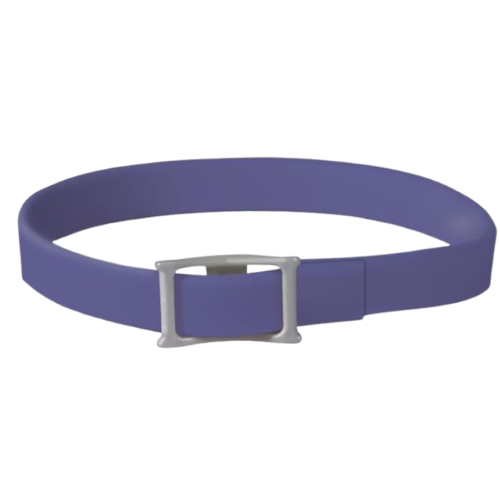 PawLuxe – Hundeband für Katzen