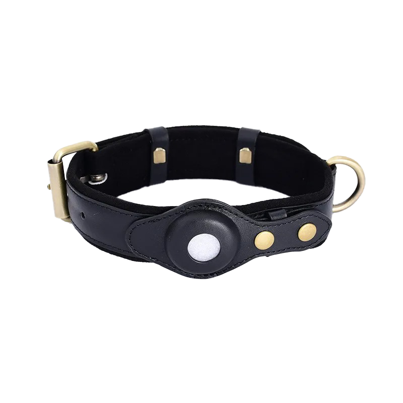 TrackPaws™ – AirTag Hundehalsband