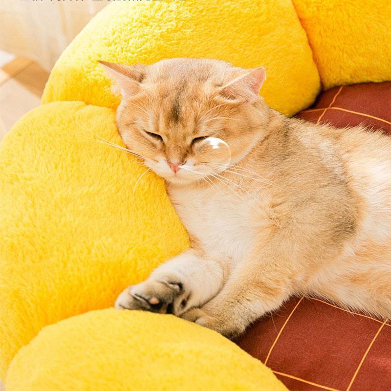 Kleines, flauschiges, warmes Katzenbett in Kaktusform, 2 Farben