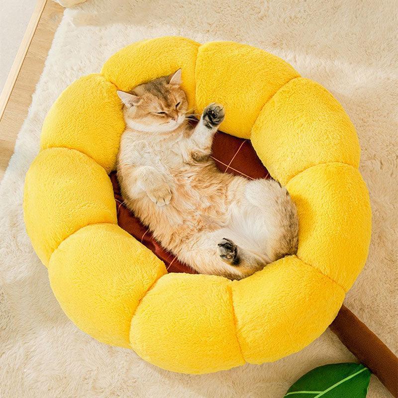 Kleines, flauschiges, warmes Katzenbett in Kaktusform, 2 Farben