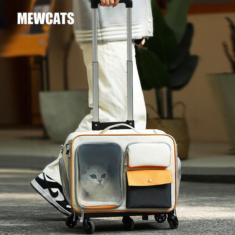 Katzen-Rollrucksack mit Rädern, Trolley-Tasche