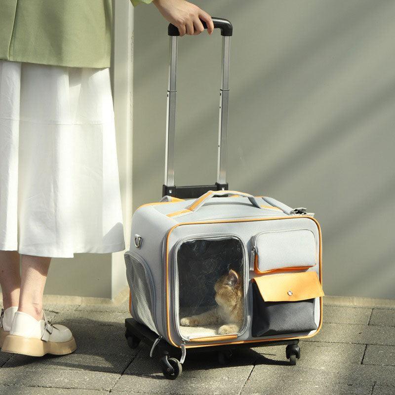 Katzen-Rollrucksack mit Rädern, Trolley-Tasche