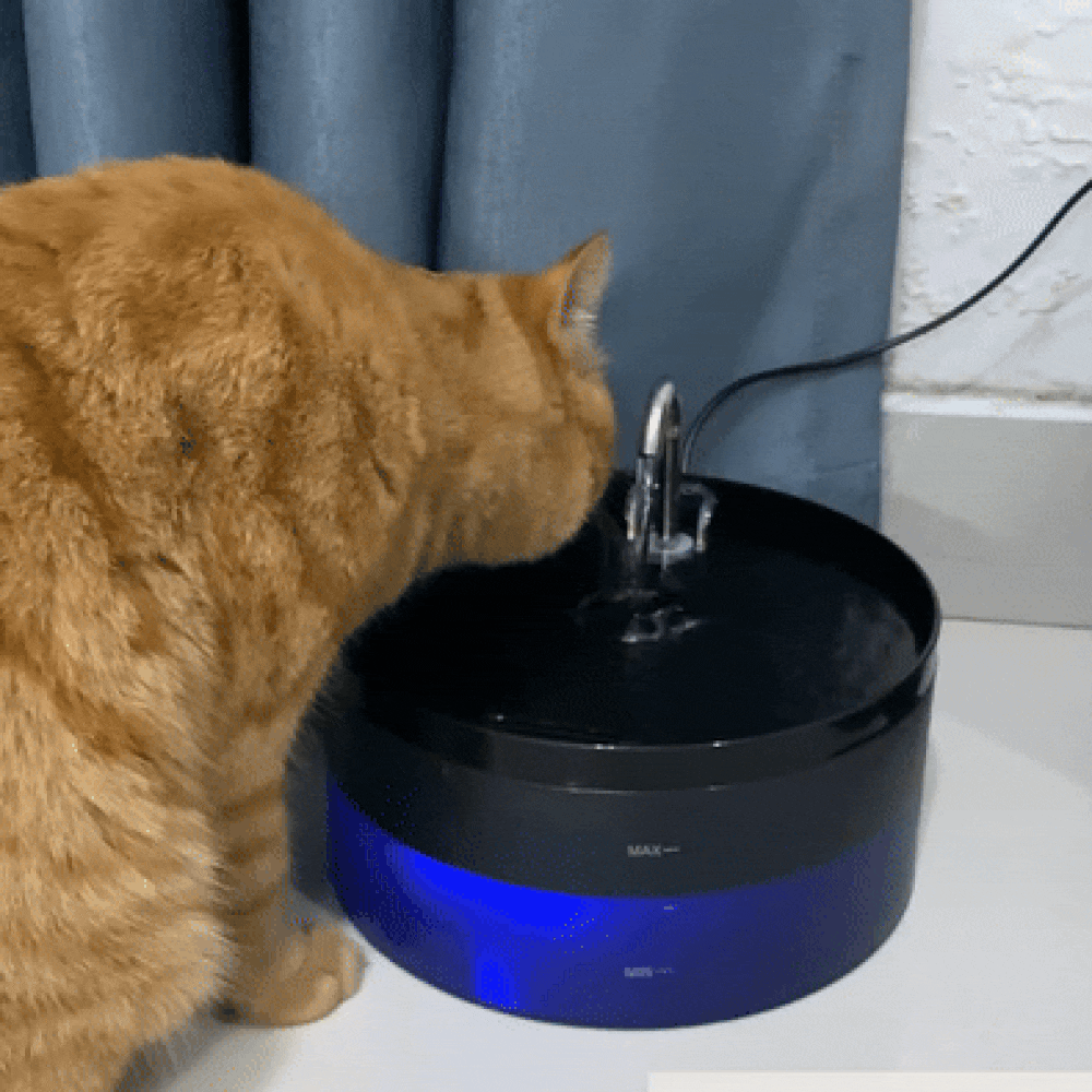 PuriFlow - Drinkfontein für Katzen