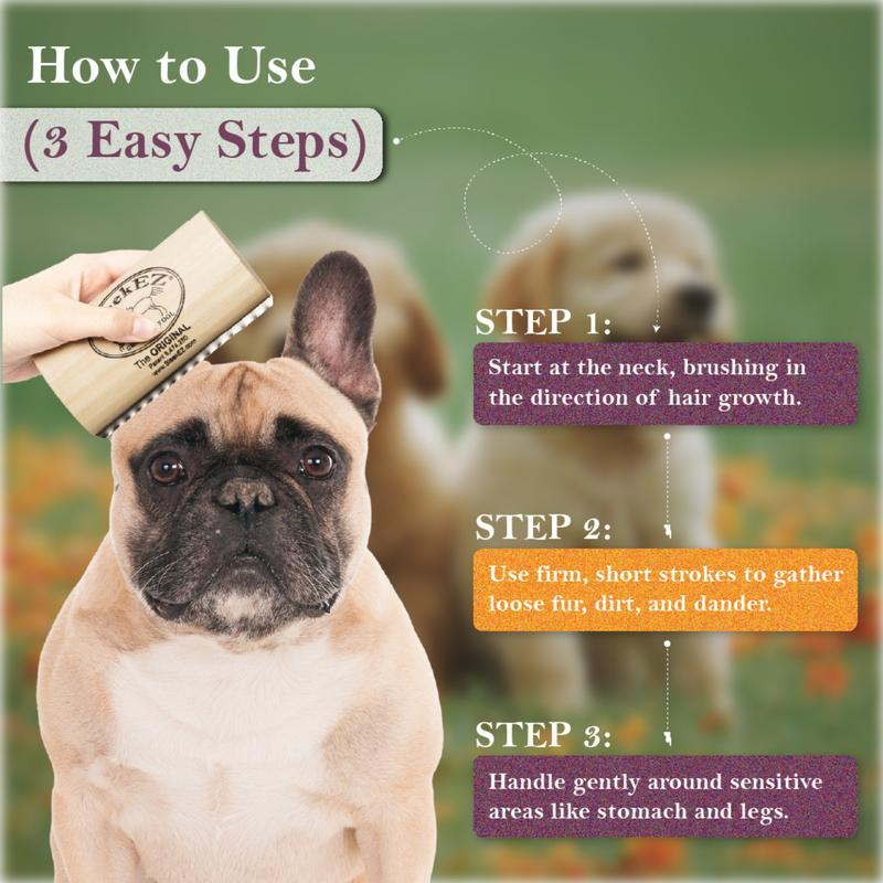 Dog grooming instruction card with a dog and grooming brush, showing three easy steps.