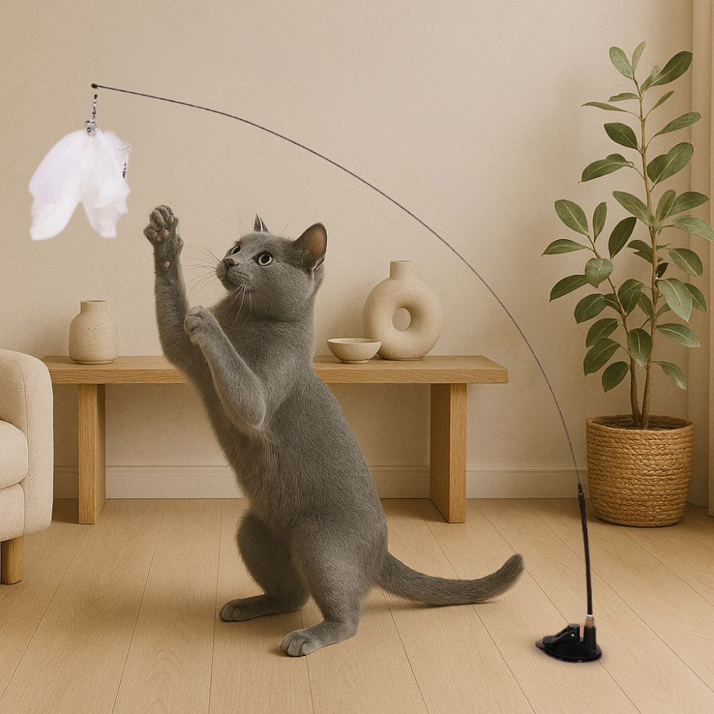 CatPlay™ – Interaktives Katzenspiel