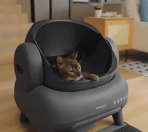 MeowMatic Litter Robot 4 – Automatisches Kattenback mit Steuerung und App-Funktion