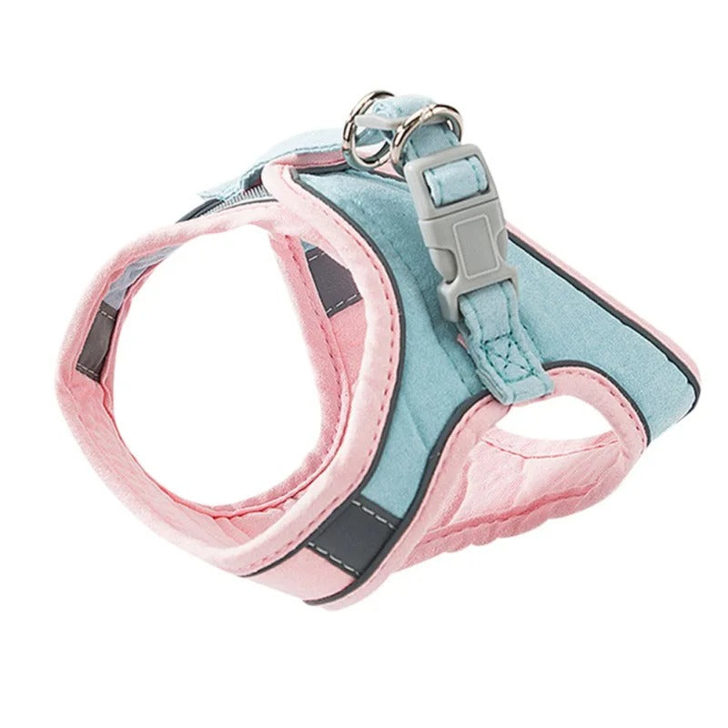 PawSafe™ – Verschleierte Katzenharnas