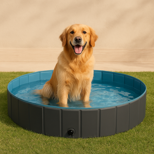 PoolPaw - Hondenzwembad