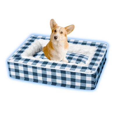 DreamyBed™ – Kaltes Hundebett