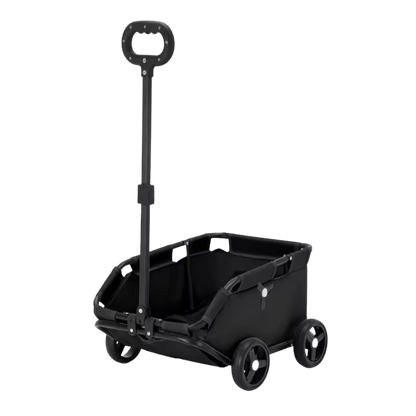 PawCruze – Mini-Buggy für Zuhause