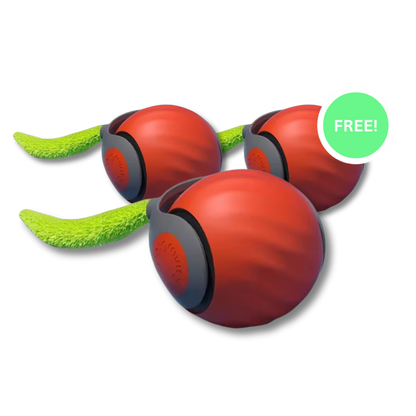 CrazyTail™ – Interaktiver Katzenball 