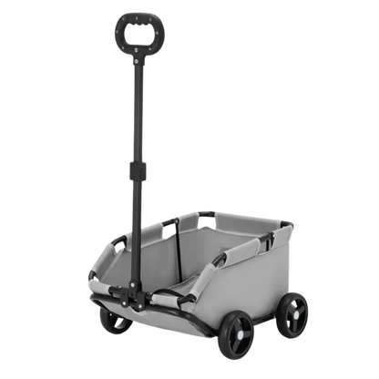 PawCruze – Mini-Buggy für Zuhause