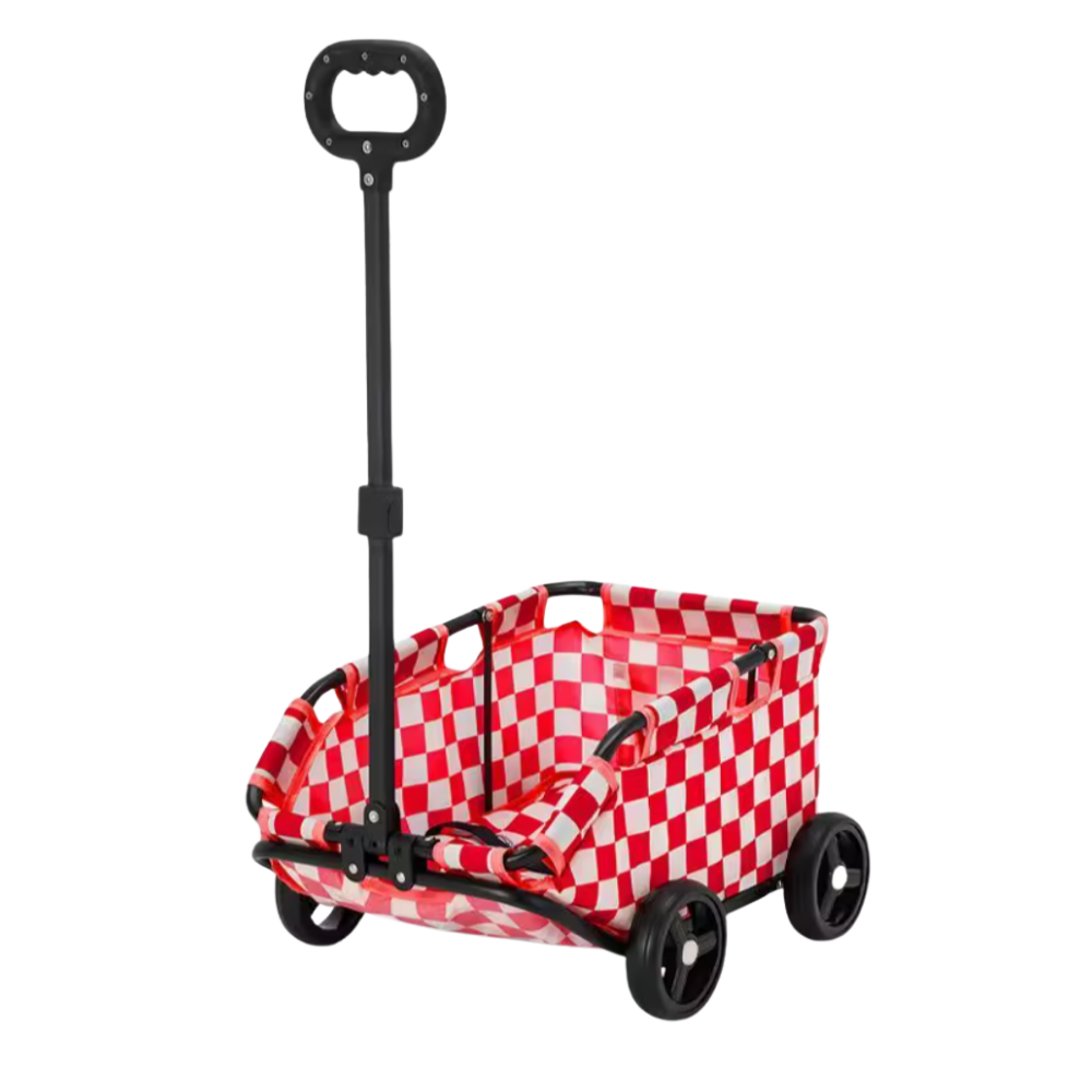 PawCruze – Mini-Buggy für Zuhause