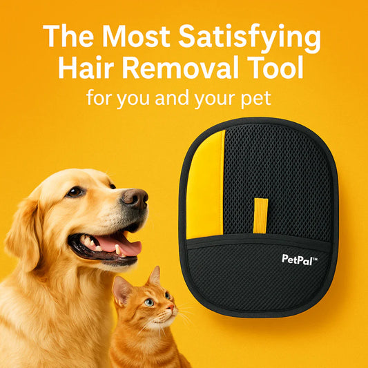 🐾 PetPal™ - Der meistverkaufte Reinigungshandschuh für Haustiere