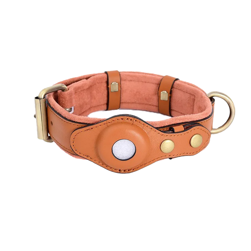 TrackPaws™ – AirTag Hundehalsband
