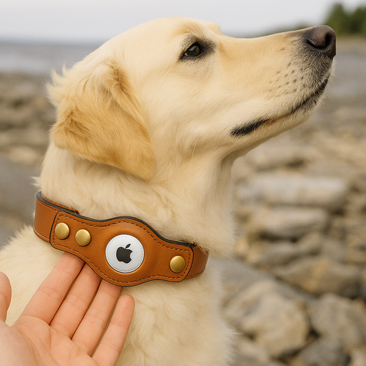 TrackPaws™ – AirTag Hundehalsband