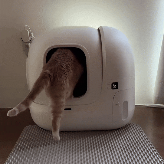 Automatischer Kattenbak mit Steuerung für Meerkatzen – Litter Robot – WhiskerVault 