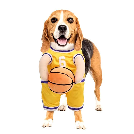 PupHoops ™ - Hundekostüm