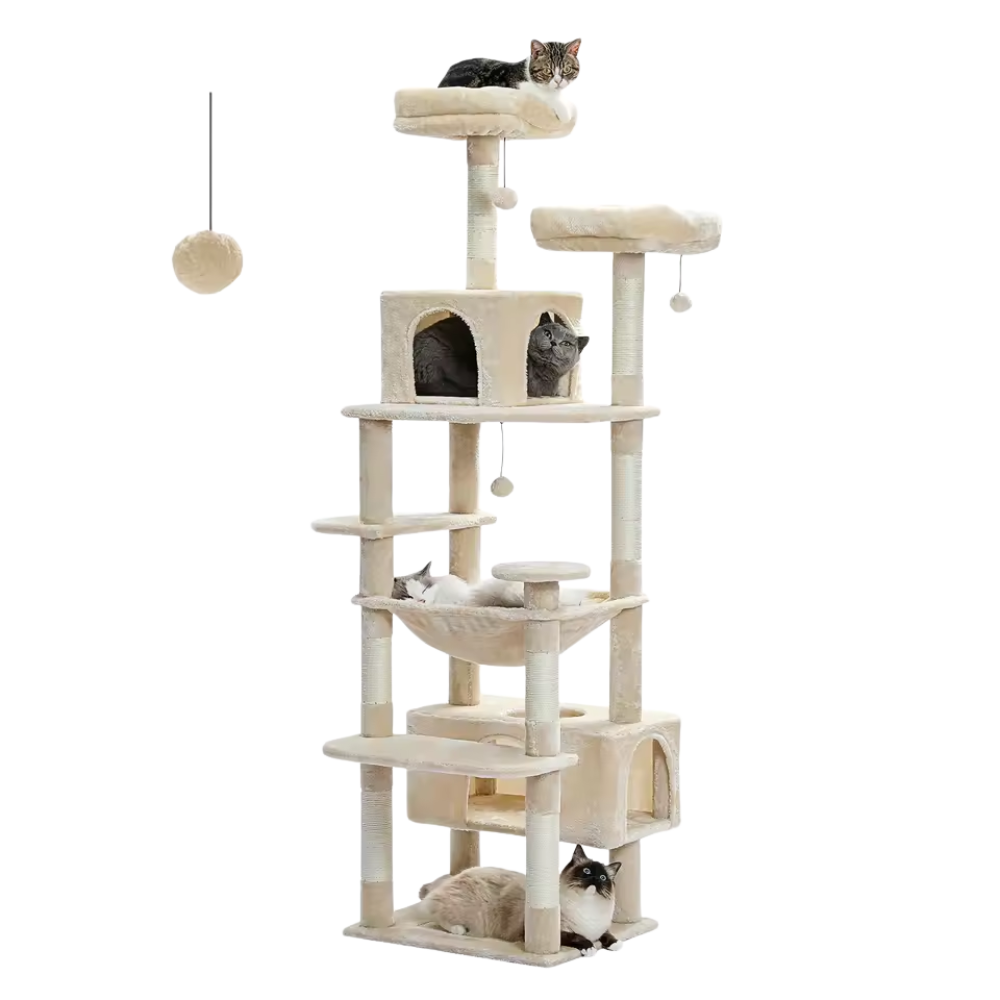 PurrLounge – Moderne Kattentoren 