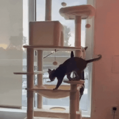 PurrLounge – Moderne Kattentoren 