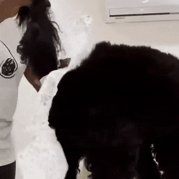 PawSnug - Honden luiers