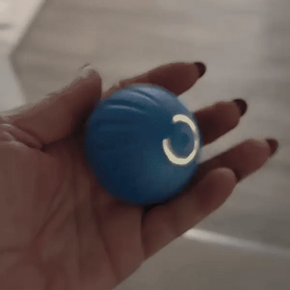 WaggleBall™ – Interaktiver Spielball 