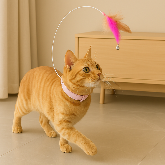 Tail Chaser™ – Interaktives Halsband