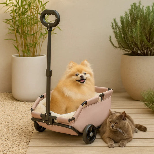PawCruze – Mini-Buggy für Zuhause