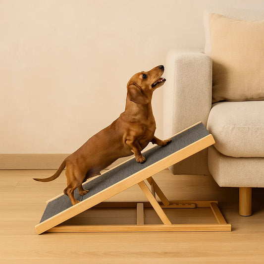 Verstellbarer Loopplank für Honden van Hout, Anti-Rutsch-Oberfläche und kompaktes Design für Bergen – PawRampEase