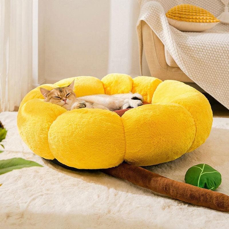 Kleines, flauschiges, warmes Katzenbett in Kaktusform, 2 Farben 