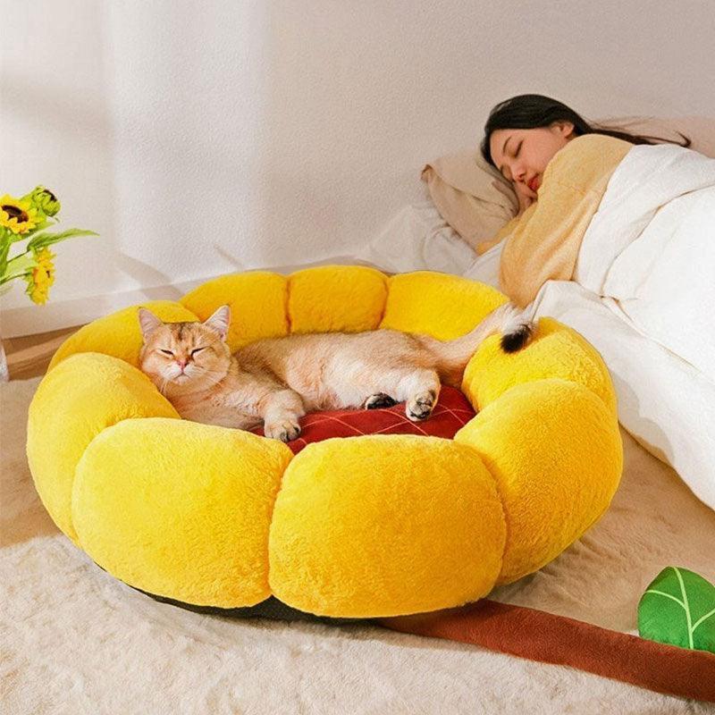 Kleines, flauschiges, warmes Katzenbett in Kaktusform, 2 Farben 
