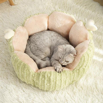 Kleines, flauschiges, warmes Katzenbett in Kaktusform, 2 Farben 