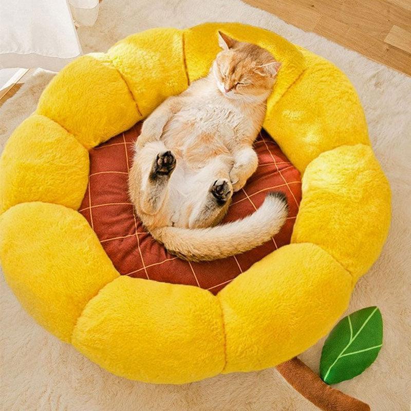 Kleines, flauschiges, warmes Katzenbett in Kaktusform, 2 Farben 