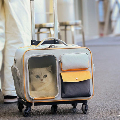 Katzen-Rollrucksack mit Rädern, Trolley-Tasche 