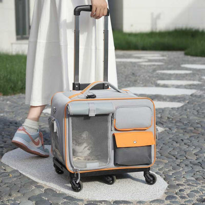 Katzen-Rollrucksack mit Rädern, Trolley-Tasche 