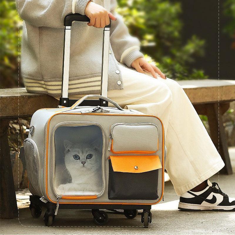 Katzen-Rollrucksack mit Rädern, Trolley-Tasche 