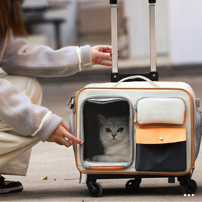 Katzen-Rollrucksack mit Rädern, Trolley-Tasche 