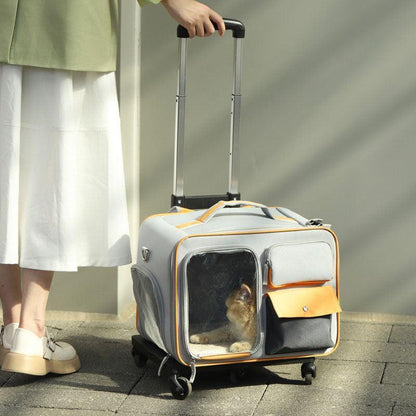Katzen-Rollrucksack mit Rädern, Trolley-Tasche 