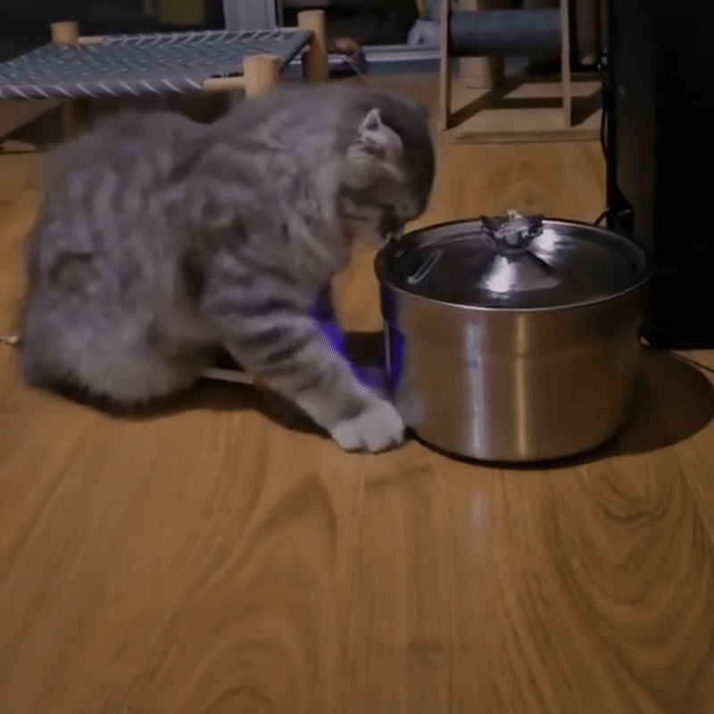 Automatische Katten Drinkfontein Stille Rvs Kattenfontein 2L - HydroKat