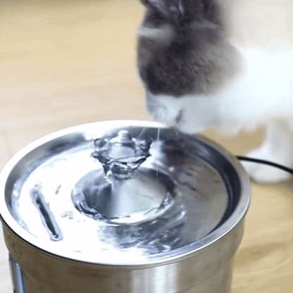 Roestvrijstalen drinkfontein voor catten – 3,2L stilles Stromwasser mit Filter