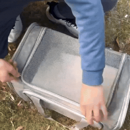 AirPaws – Fliegende Hunde
