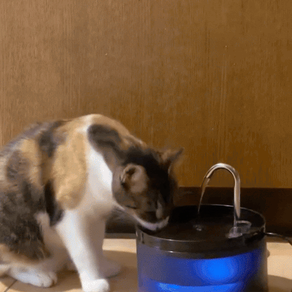 PuriFlow - Drinkfontein für Katzen